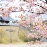 （終了しました）2021年4月4日 コスカレードin広島市森林公園8（広島市）