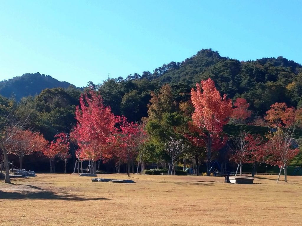 広島市森林公園（秋）