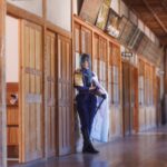 郷野小学校サンプル