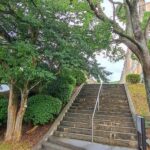 比治山大学